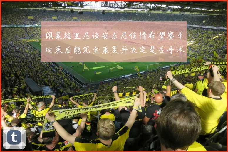 佩莱格里尼谈安东尼伤情希望赛季结束后能完全康复并决定是否手术