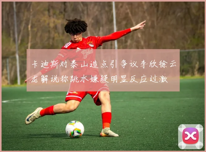 卡迪斯对泰山造点引争议李欣徐云龙解说称跳水嫌疑明显反应过激