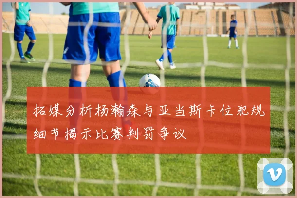 拓媒分析杨瀚森与亚当斯卡位犯规细节揭示比赛判罚争议