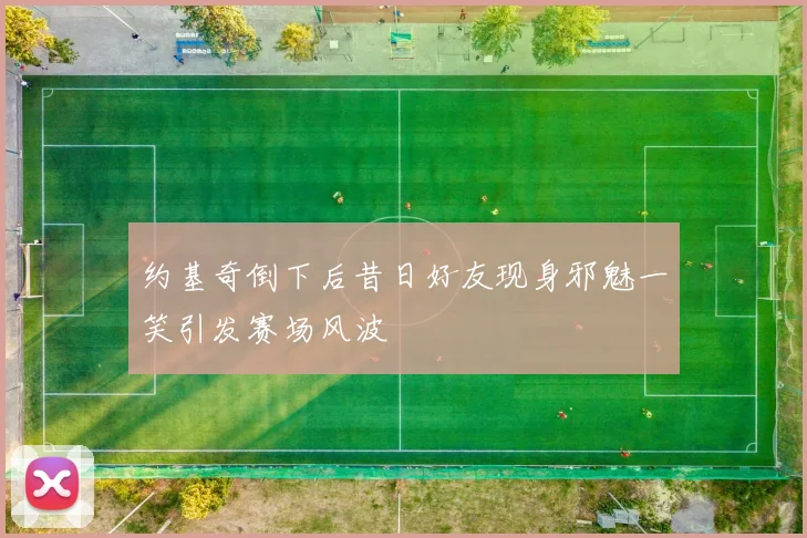 约基奇倒下后昔日好友现身邪魅一笑引发赛场风波